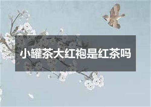 小罐茶大红袍是红茶吗