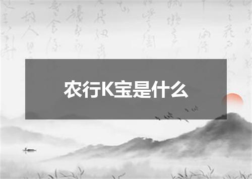 农行K宝是什么