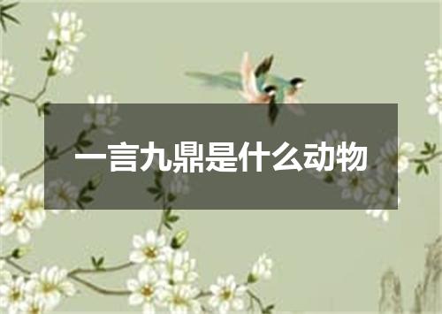 一言九鼎是什么动物