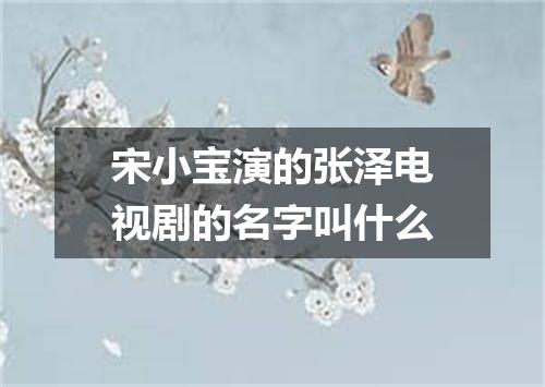 宋小宝演的张泽电视剧的名字叫什么