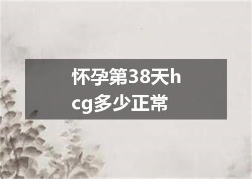 怀孕第38天hcg多少正常