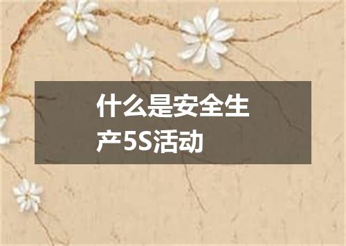 什么是安全生产5S活动