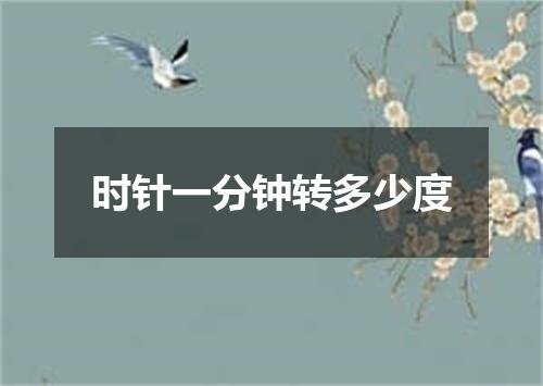 时针一分钟转多少度