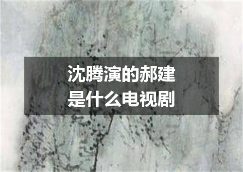 沈腾演的郝建是什么电视剧