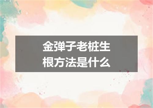 金弹子老桩生根方法是什么