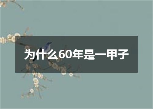 为什么60年是一甲子