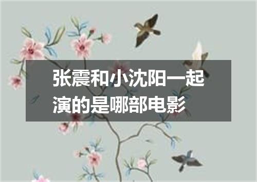 张震和小沈阳一起演的是哪部电影