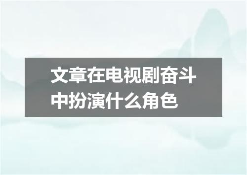 文章在电视剧奋斗中扮演什么角色
