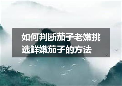 如何判断茄子老嫩挑选鲜嫩茄子的方法