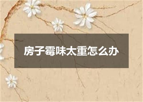 房子霉味太重怎么办