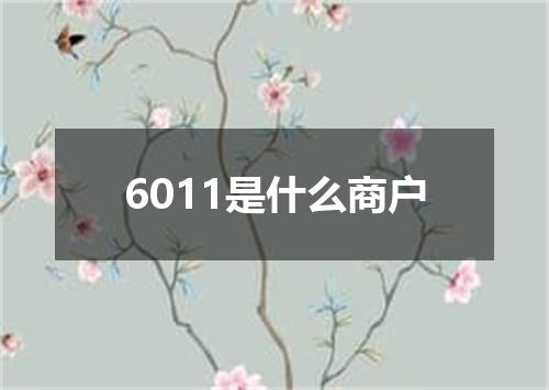 6011是什么商户