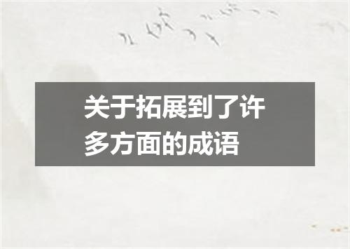 关于拓展到了许多方面的成语