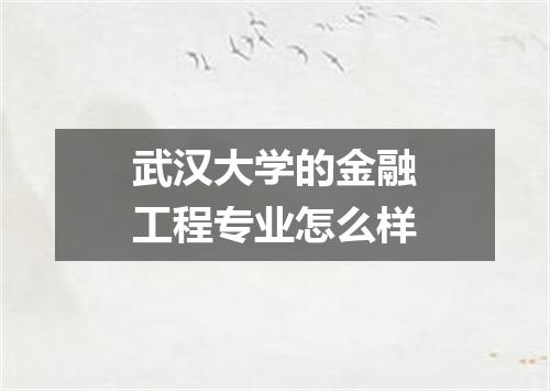 武汉大学的金融工程专业怎么样