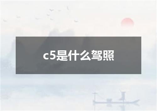 c5是什么驾照