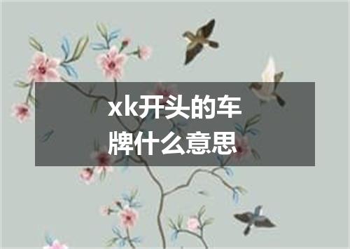 xk开头的车牌什么意思