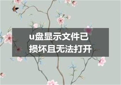 u盘显示文件已损坏且无法打开