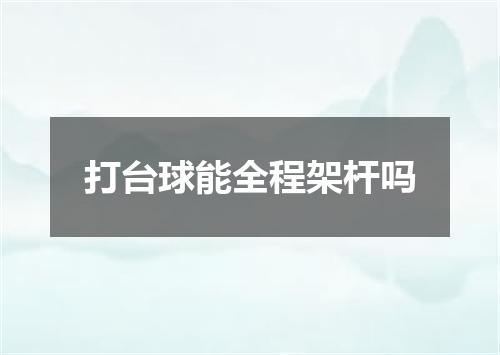 打台球能全程架杆吗