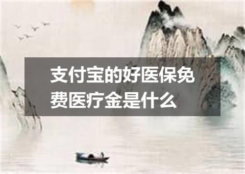 支付宝的好医保免费医疗金是什么