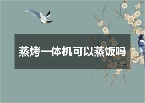 蒸烤一体机可以蒸饭吗