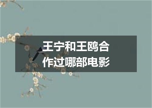 王宁和王鸥合作过哪部电影