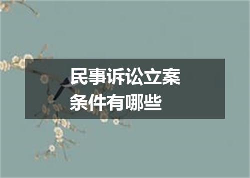 民事诉讼立案条件有哪些