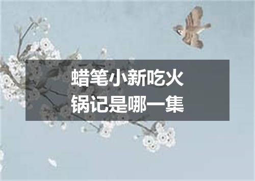 蜡笔小新吃火锅记是哪一集
