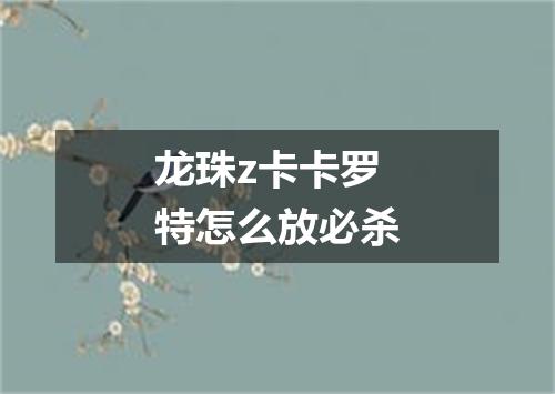 龙珠z卡卡罗特怎么放必杀