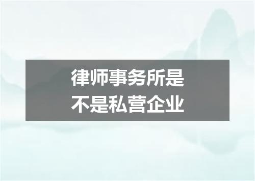 律师事务所是不是私营企业