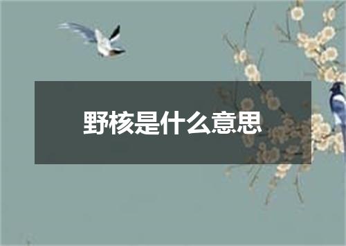 野核是什么意思