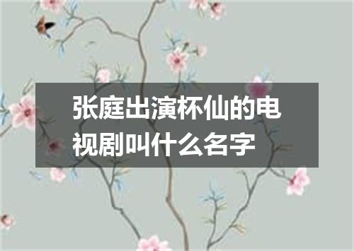 张庭出演杯仙的电视剧叫什么名字