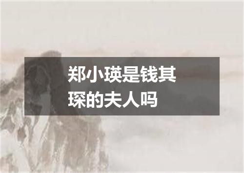 郑小瑛是钱其琛的夫人吗