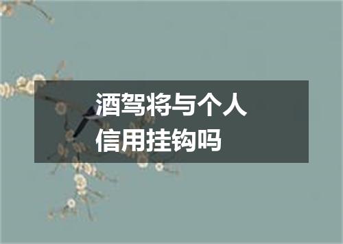 酒驾将与个人信用挂钩吗