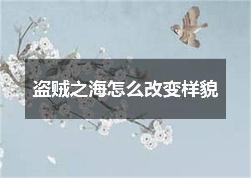盗贼之海怎么改变样貌