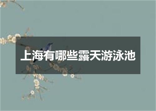 上海有哪些露天游泳池