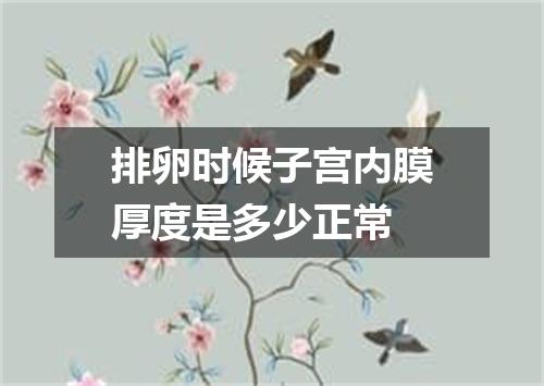 排卵时候子宫内膜厚度是多少正常