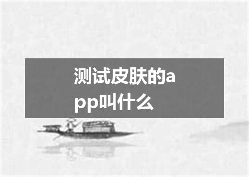 测试皮肤的app叫什么