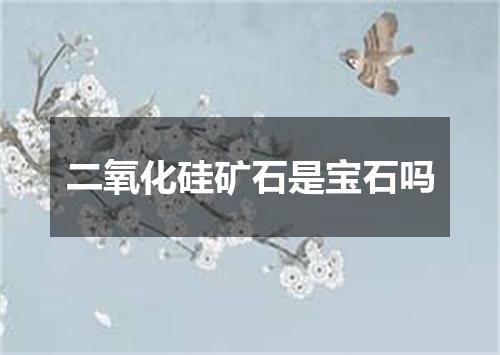 二氧化硅矿石是宝石吗