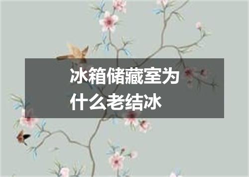 冰箱储藏室为什么老结冰