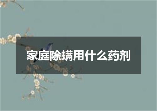 家庭除螨用什么药剂