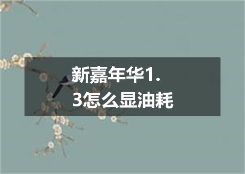 新嘉年华1.3怎么显油耗