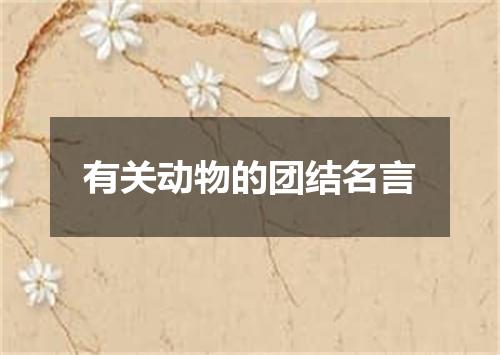 有关动物的团结名言