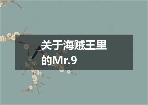 关于海贼王里的Mr.9