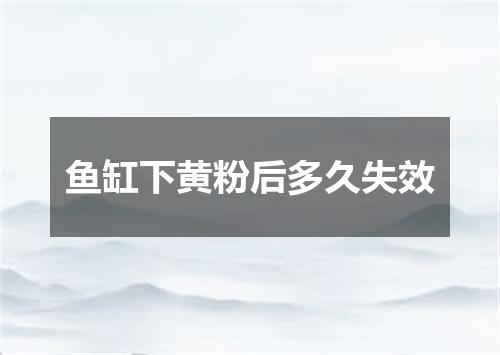 鱼缸下黄粉后多久失效
