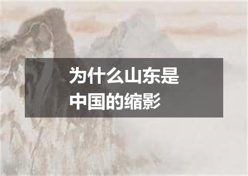 为什么山东是中国的缩影