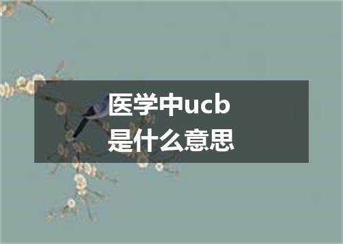 医学中ucb是什么意思