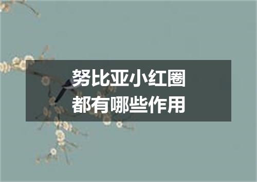 努比亚小红圈都有哪些作用