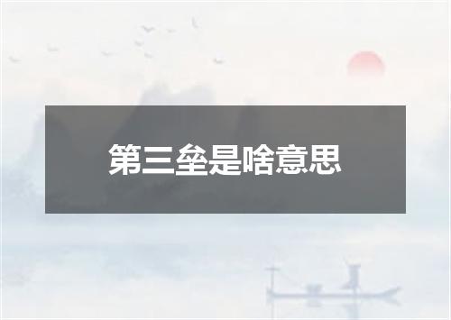 第三垒是啥意思