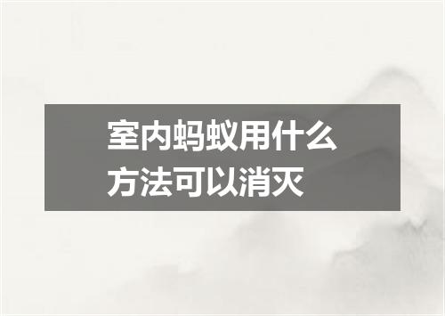 室内蚂蚁用什么方法可以消灭