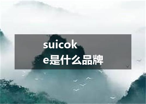 suicoke是什么品牌