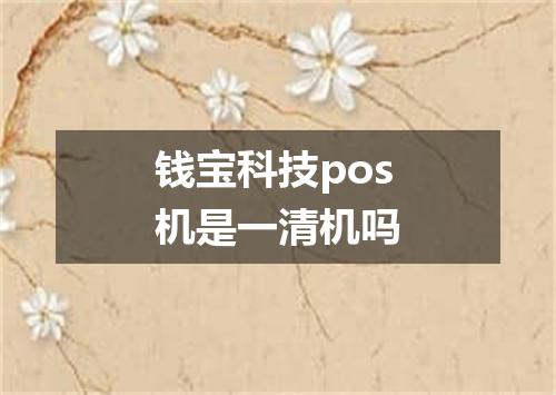 钱宝科技pos机是一清机吗